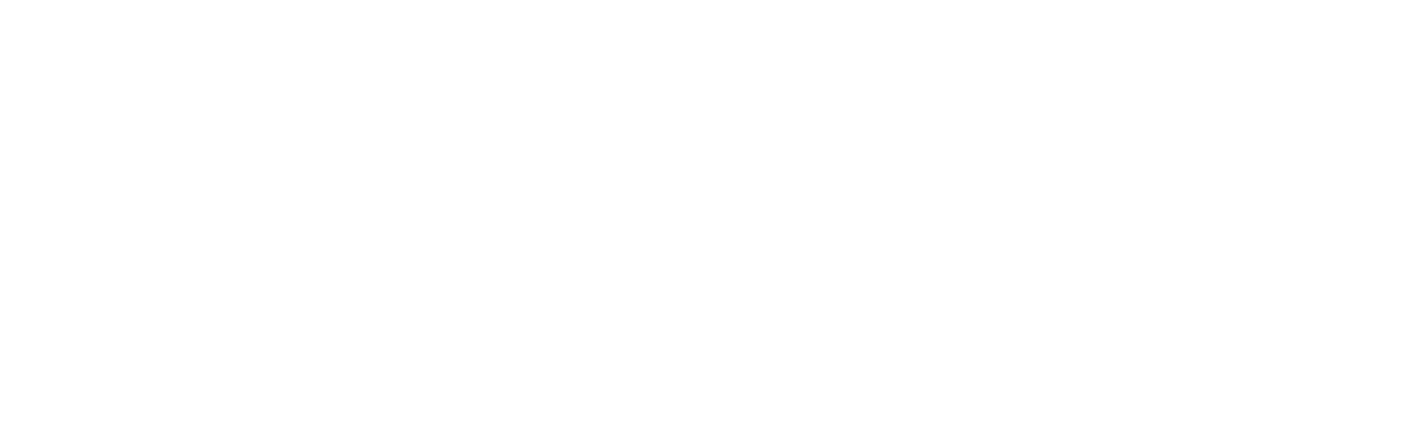 Fegime